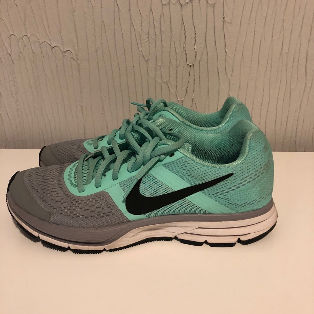 Nike Pegasus 30